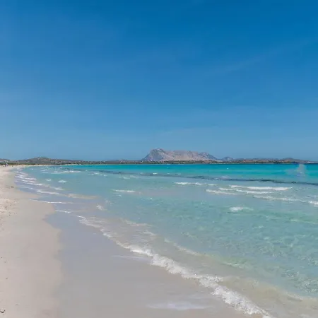Le Canne - Teo111 By Interhome Lägenhet San Teodoro (Sardinia)